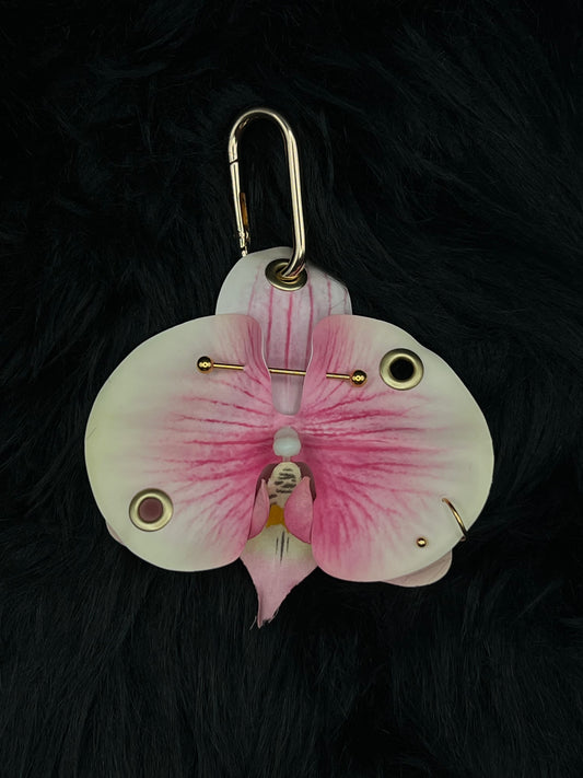 Limited Edition Light Pink Pierced Orchid with Gold Hardware