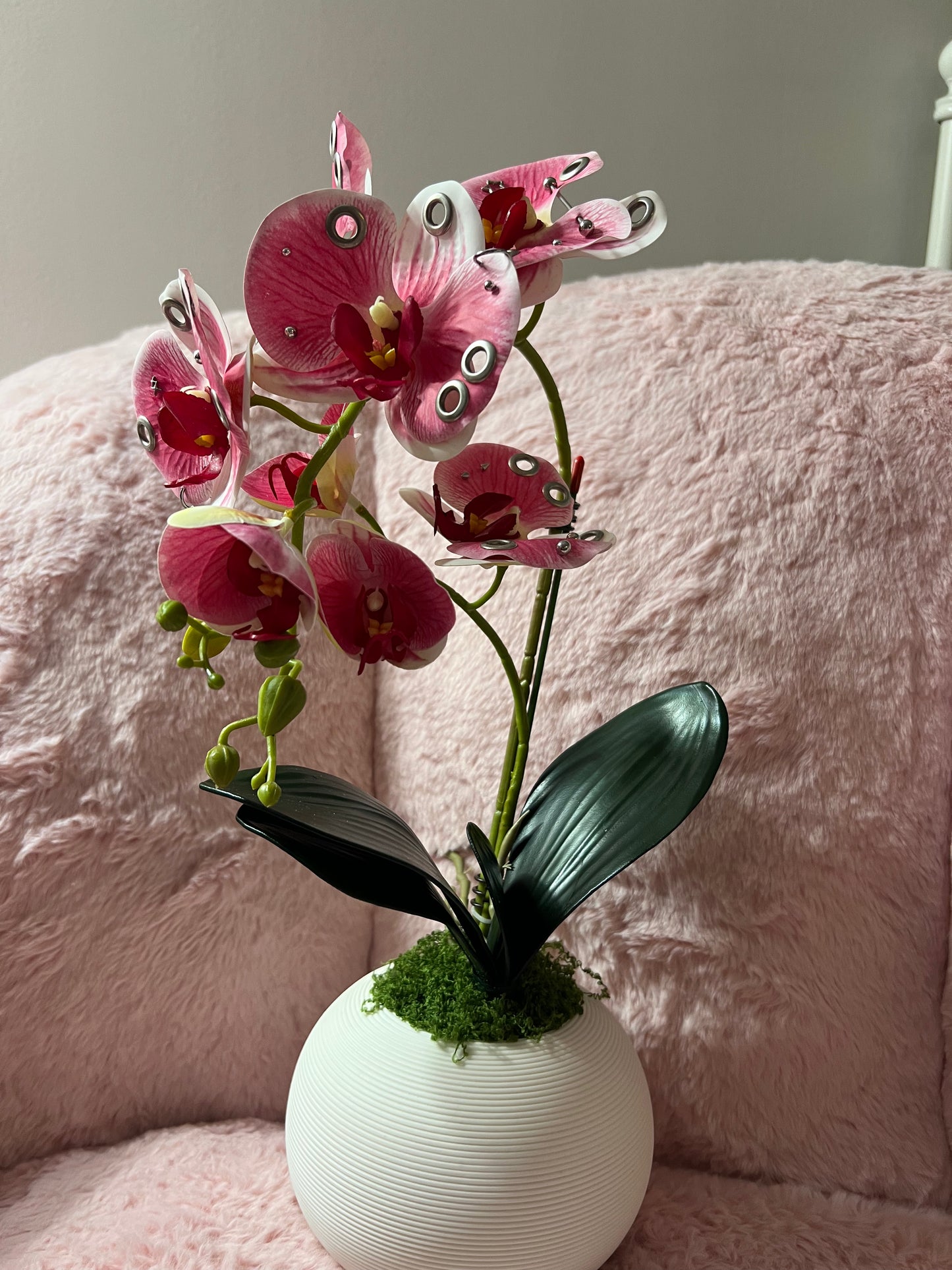 Pierced Potted Orchid