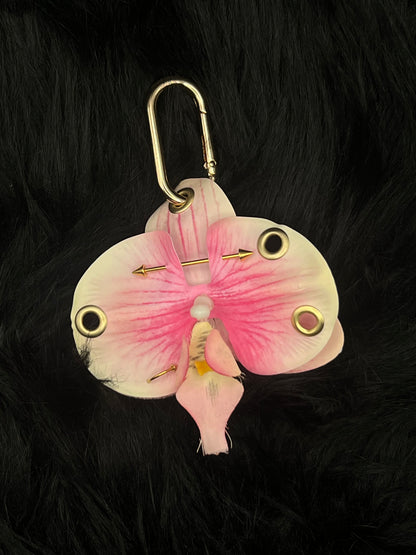 Limited Edition Light Pink Pierced Orchid with Gold Hardware