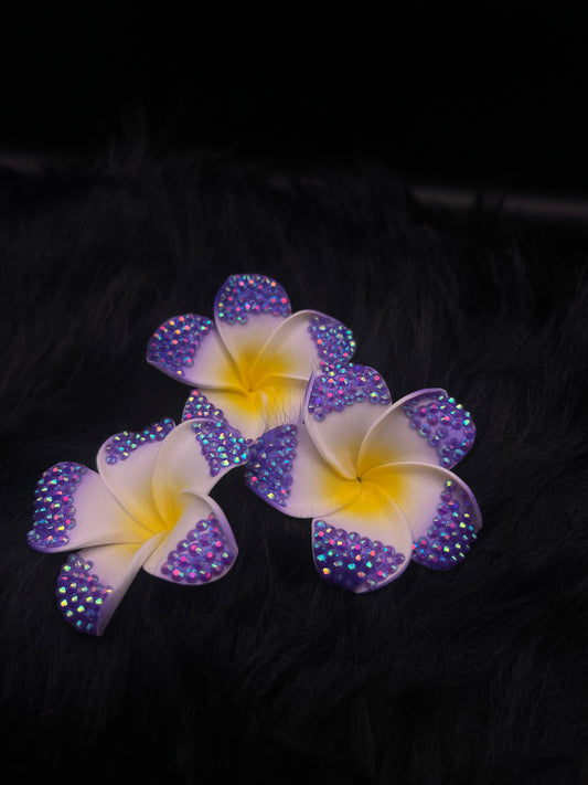 Midnight Sun Hairclip