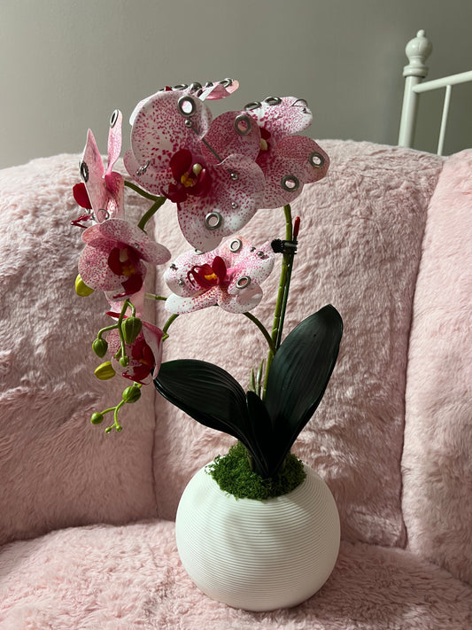 Pierced Potted Orchid